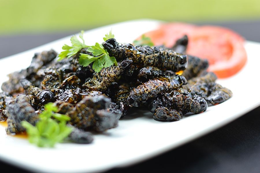 African Cuisine Tasting